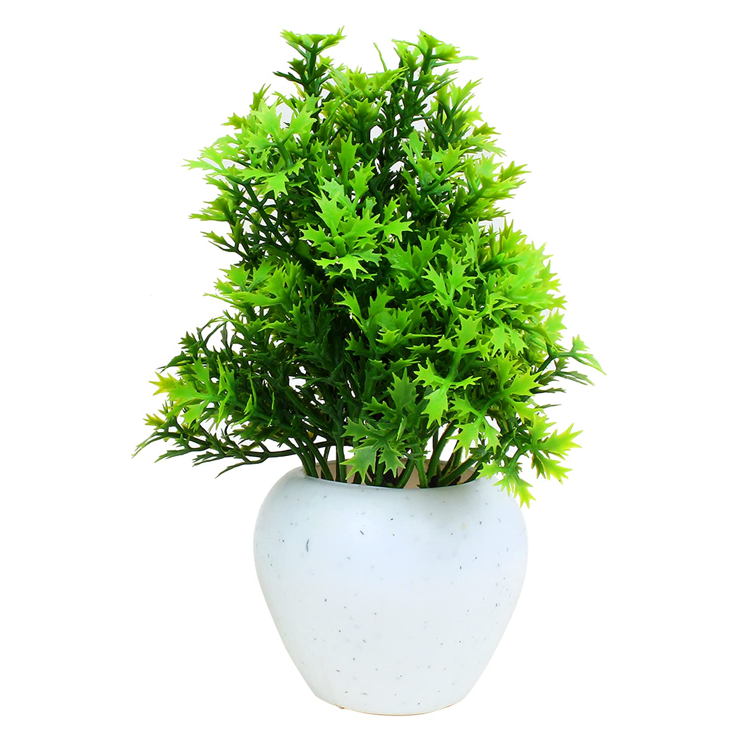white plant 3